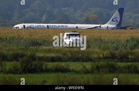 (190816) -- BEIJING, Aug. 16, 2019 (Xinhua) -- Photo taken on Aug. 15, 2019 shows the Airbus A321 that made a hard landing near Zhukovsky International Airport, southeast of Moscow, Russia. An Airbus plane with over 200 passengers on board made an emergency landing on Thursday near Moscow shortly after taking off, injuring 23 people, including five children, authorities said. The Ural Airlines' flight A321 performed a hard landing near Zhukovsky International Airport, southeast of Moscow, after its engines were struck by birds, the Sputnik news agency quoted Russia's Federal Air Transport A Stock Photo