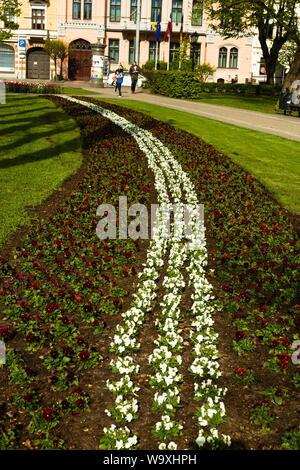 Flower beds proudly designed in honor of Latvia Independence Day Stock Photo