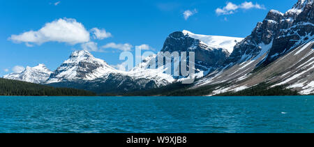 Spring Bow Lake - A panoramic view of snow-capped mountains towering at south and west shore of Bow Lake, Banff National Park, AB, Canada. Stock Photo