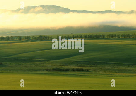 The hulunbuir morning mist of the field Stock Photo