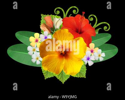 Hibiscus in different colors and different varieties Stock Photo