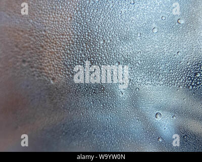 A lot of water drops inside plastic bottle. Stock Photo