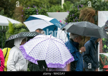 Southport, Merseyside, 16th August 2019.  Heavy rain pours down on visitors braving the awful weather as they make their way into the 2019 Southport Flower Show.  THE UK is set to be battered by more than a month's worth of rain today - before the hot weather returns for the Bank Holiday.  Credit: Cernan Elias/Alamy Live News Stock Photo