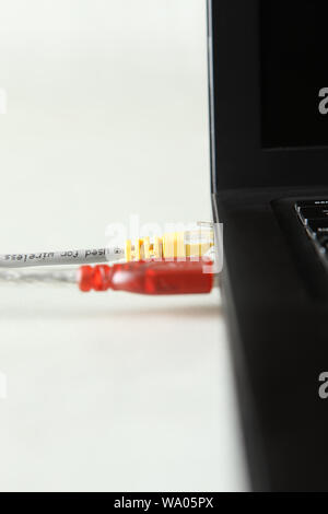 Network cables connected with a laptop Stock Photo