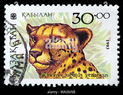 Asiatic cheetah, Acinonyx jubatus venaticus, postage stamp, Kazakhstan, 1993 Stock Photo