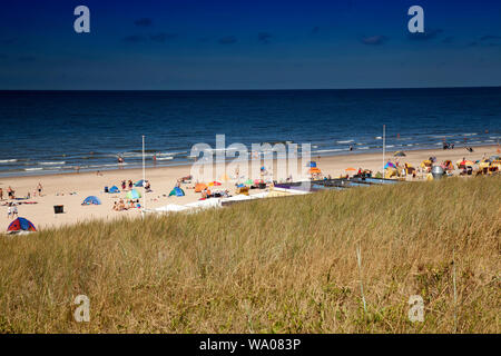 Dune landscape on the beach of Egmond,North sea , Holland, Netherlands, 30057073 *** Local Caption *** Stock Photo