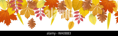 autumn leaves seamless banner background Stock Photo