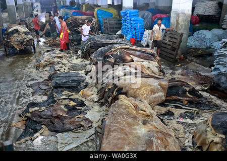 Dhaka, Bangladesh - August 16, 2019: Bangladeshi tannery workers process raw leather inside a factory at the Saver tannery area in Dhaka, Bangladesh. Stock Photo