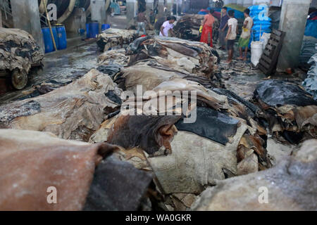 Dhaka, Bangladesh - August 16, 2019: Bangladeshi tannery workers process raw leather inside a factory at the Saver tannery area in Dhaka, Bangladesh. Stock Photo