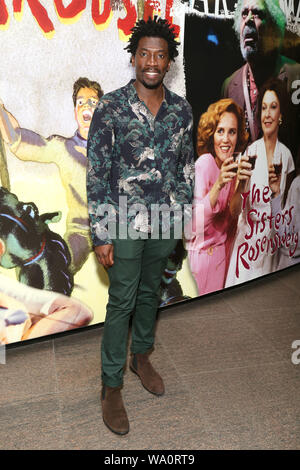 The Rolling Stone Opening Night Party held at the Mitzi E. Newhouse Theater Lobby. Featuring: James Udom Where: New York, New York, United States When: 16 Jul 2019 Credit: Joseph Marzullo/WENN.com Stock Photo