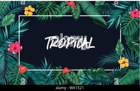 Tropical forest with rectangle frame on blue background Stock Vector