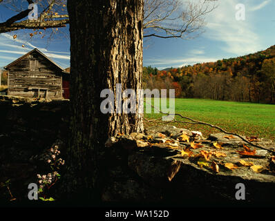 Vermont stone wall in autumn Stock Photo