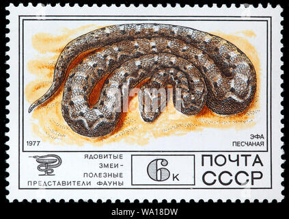 Saw-scaled viper, Echis carinatus, venomous snake, postage stamp, Russia, USSR, 1977 Stock Photo