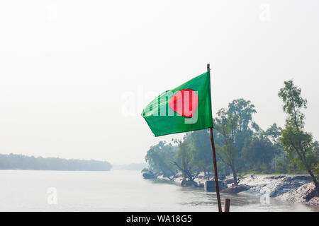 Breathing roots of Keora trees at the World largest mangrove forest Sundarbans, famous for the Royal Bengal Tiger and UNESCO World Heritage site in Ba Stock Photo