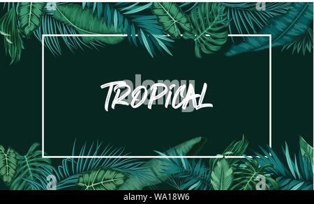 Tropical forest with rectangle frame on black background Stock Vector