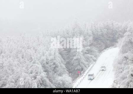 Shaanxi qinling watershed snow tree Stock Photo