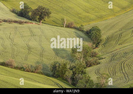 The rolling landscape of Le Marche in Italy. Stock Photo