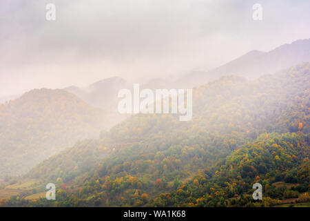 autumn rainy day in mountains. beautiful nature background. trees on the hill in fall foliage. overcast weather