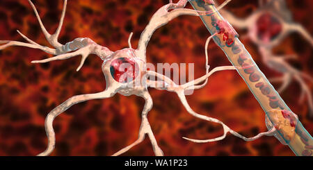 Astrocyte and blood vessel, computer illustration. Astrocytes, brain glial cells, also known as astroglia, connect neuronal cells to blood vessels and provide blood brain barrier. Stock Photo