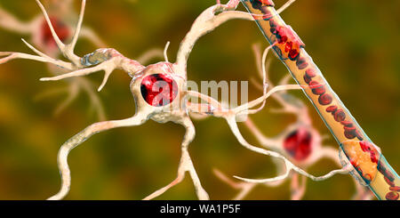 Astrocyte and blood vessel, computer illustration. Astrocytes, brain glial cells, also known as astroglia, connect neuronal cells to blood vessels and provide blood brain barrier. Stock Photo