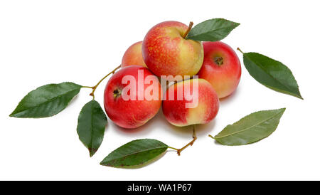 red apples five and fruit leaves isolated on white background closeup Stock Photo