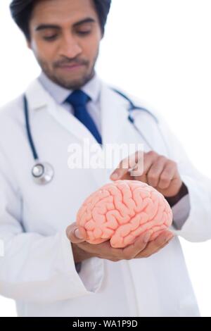 Neurologist pointing at brain model. Stock Photo
