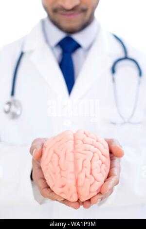 Neurologist holding brain model, close-up. Stock Photo