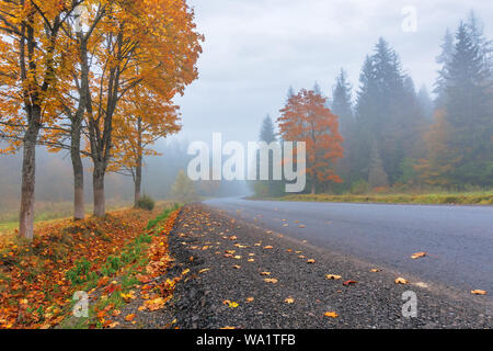 new asphalt road through forest in fog. mysterious autumn scenery in the morning. trees in vivid orange foliage, some leaves on the ground. gloomy ove
