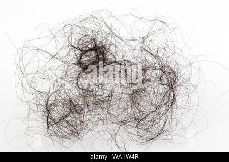 Pile of women's hair loss problem, hairs fall on white background. Stock Photo