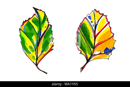 Two watercolor stylized graphic autumn leaves. Hand painted pastel yellow, orange and green colors. Blue, red and black ink contour. Isolated object o Stock Photo