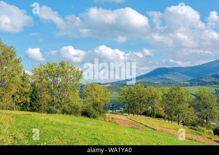 beautiful rural area of carpathian mountains. trees and agricultural fields on hills. landscape in dappled light. forest on the distant ridge. sunny w Stock Photo