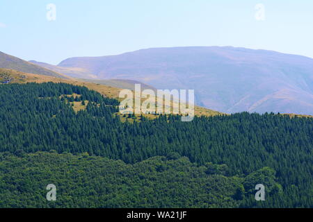 Midzor Mountain  in Serbia, Europe. Beautiful Serbian landscape. Stock Photo