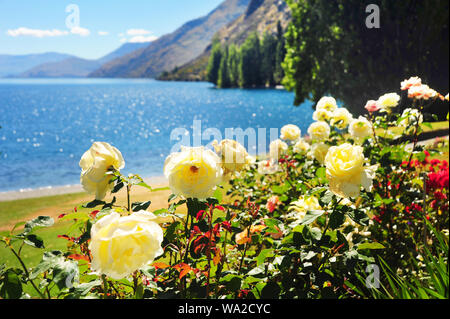 New Zealand Katie PuHu Stock Photo