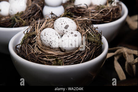 Eggs in Birds Nest in decorative white dish.  Three Quail Easter Eggs with rustic look. Stock Photo