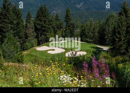 WHISTLER, BC/CANADA – AUGUST 3, 2019: Fairmont Chateau Whistler Golf Club, sunny day on tee box looking down at a green surrounded by sand traps. Stock Photo