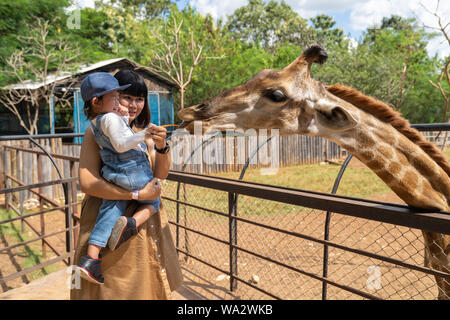 Asian cute baby girl feeding on your hand for big giraffe in animal farm background, summer vacation holiday travel, family life style concept. Stock Photo