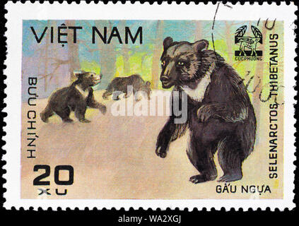 Asiatic Black Bear, Ursus thibetanus, Cuc Phuona Nati Forest, postage stamp, Vietnam, 1981 Stock Photo
