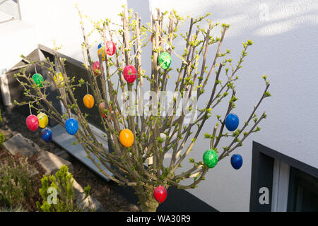 Colored easter eggs on willow bouquet with kitten willows Stock Photo
