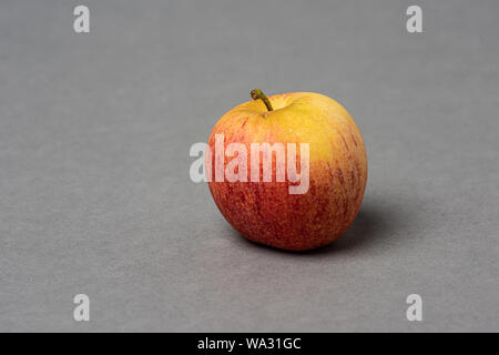 Red and yellow apple on grey background. Stock Photo