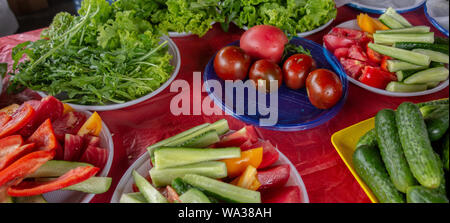 Vegetables served at picnic party outdoor. Panorama of tomatoes, cucumbers, pepper, salad and other edible greens. Whole, cropped and sliced raw veget Stock Photo