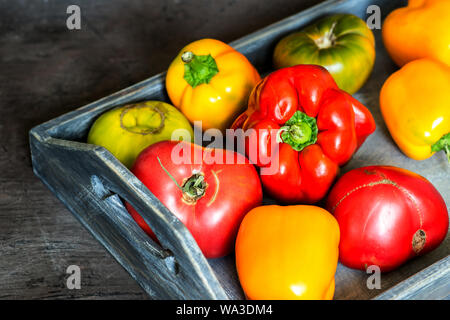 Imperfect natural peppers and tomatoes on an old wooden tray on a dark background. Healthy eating concept. Stock Photo