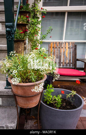 Pretty potted plants on front porch Stock Photo