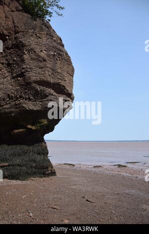 Flower pot Rock on the Bay of Fundy at low tide Stock Photo