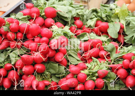 fresh radishes at the weekly market Stock Photo