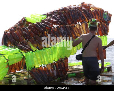 Many funny constructions took place in the annual self-made boats race in St.Petersburg, Russia Stock Photo