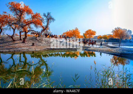 The tarim river in xinjiang Luo Buren village scenery Stock Photo