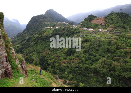 Green and misty stop on the Entrosa trail (Caminho da Entrosa) on the Portuguese island of Madeira Stock Photo