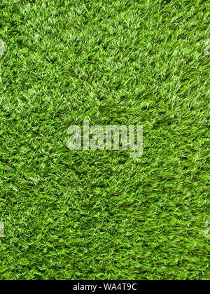 Detail of patch of grass seen from above Stock Photo