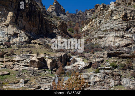 Lamoille Canyon Stock Photo