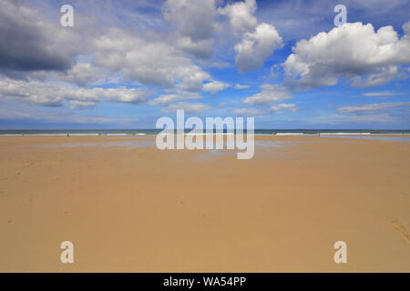 Bamburgh beach, a big sky of cumulus clouds and an expanse of sandy beach from off the Northumberland Coastal Path, Bamburgh, Northumberland, England. Stock Photo